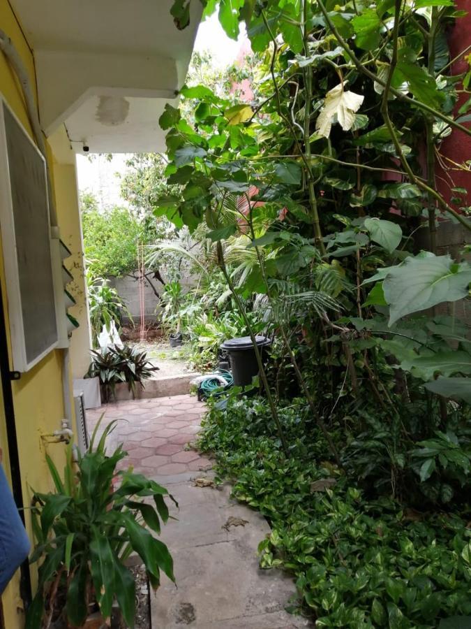 Gaviota Apartman Playa del Carmen Kültér fotó